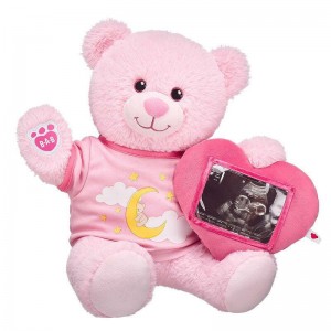 Build A Bear Baby Pink Teddy Bear Picture Frame Gift Set Baby Gifts | DVBNF3160