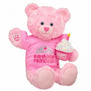 Build A Bear Birthday Princess Deluxe Gift Set Congratulations Gifts | QUOWN0349