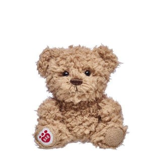 Build A Bear Buddies Timeless Teddy Buddies | SRZMN0845