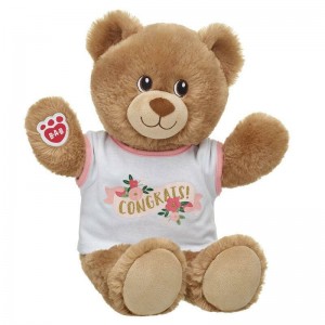 Build A Bear Lil' Cub Brownie Congrats Gift Set Congratulations Gifts | FTWIY2305