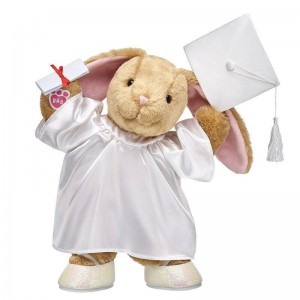 Build A Bear Pawlette™ Bunny Plush Graduation Gift Set Congratulations Gifts | ZWJTD5936