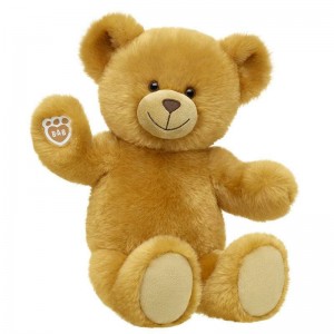 Build A Bear Read Teddy Teddy Bears | HTVZS6237