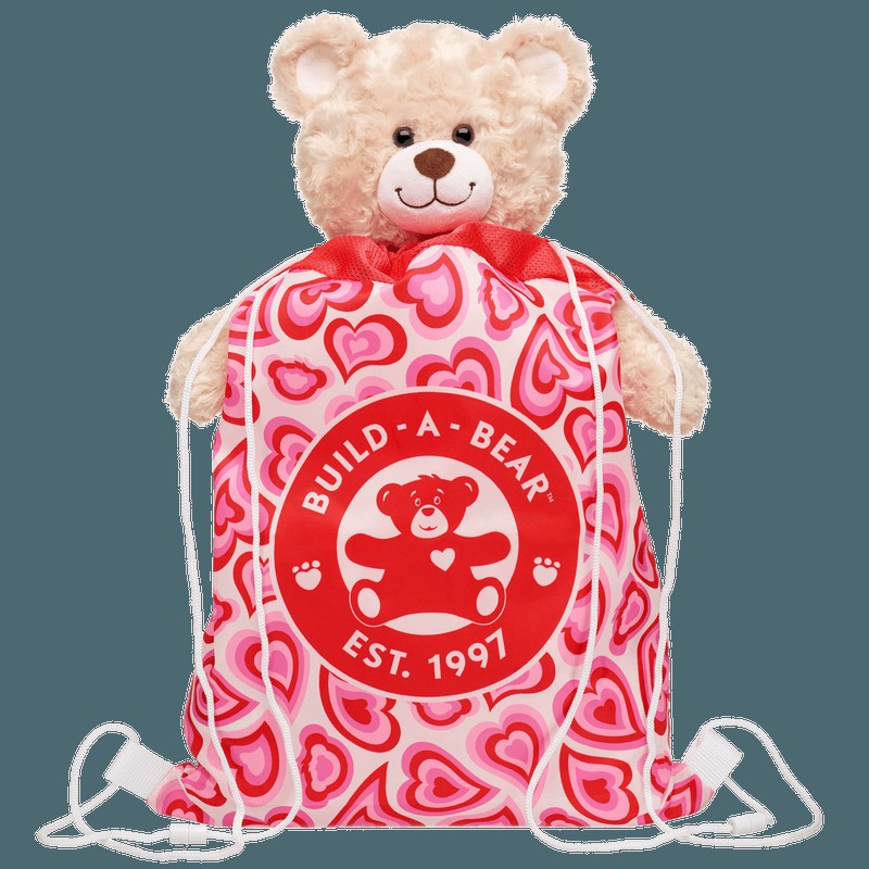 Build A Bear Groovy Hearts Bear Carrier Valentines Day | QNCOW3907