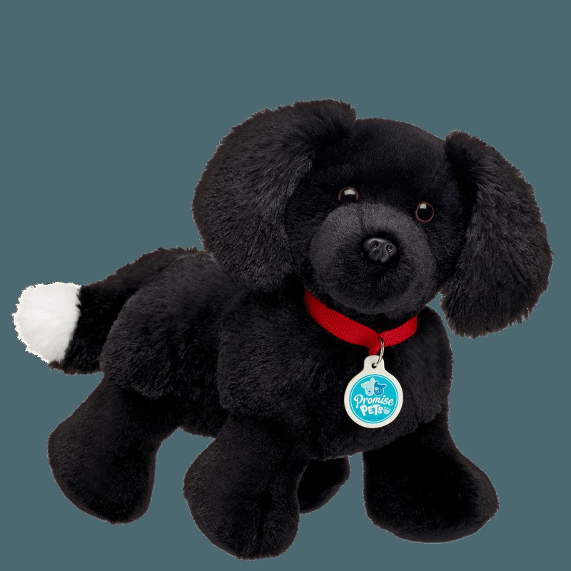 Build A Bear Promise Pets Black and White Dog Promise Pets | OXKFR6175