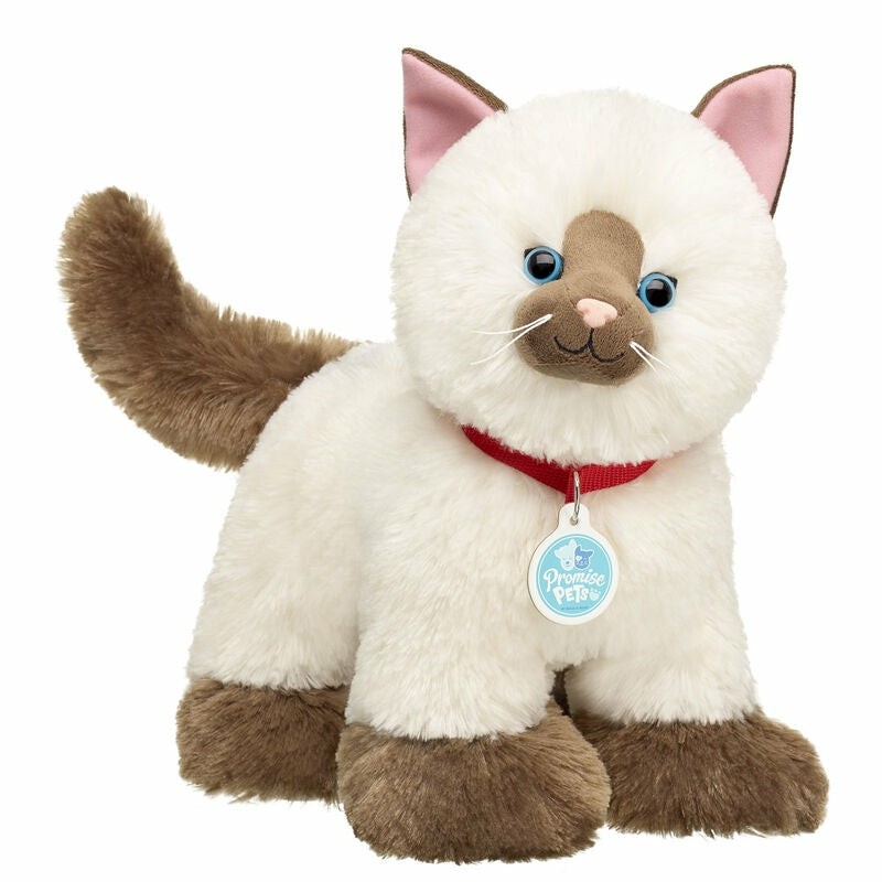 Build A Bear Promise Pets Ragdoll Kitten Stuffed Animal Promise Pets | UWNHK6327